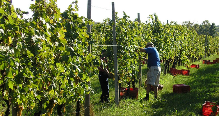 Tenuta delle Tre Sorelle