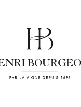 Henri Bourgeois