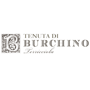 Burchino